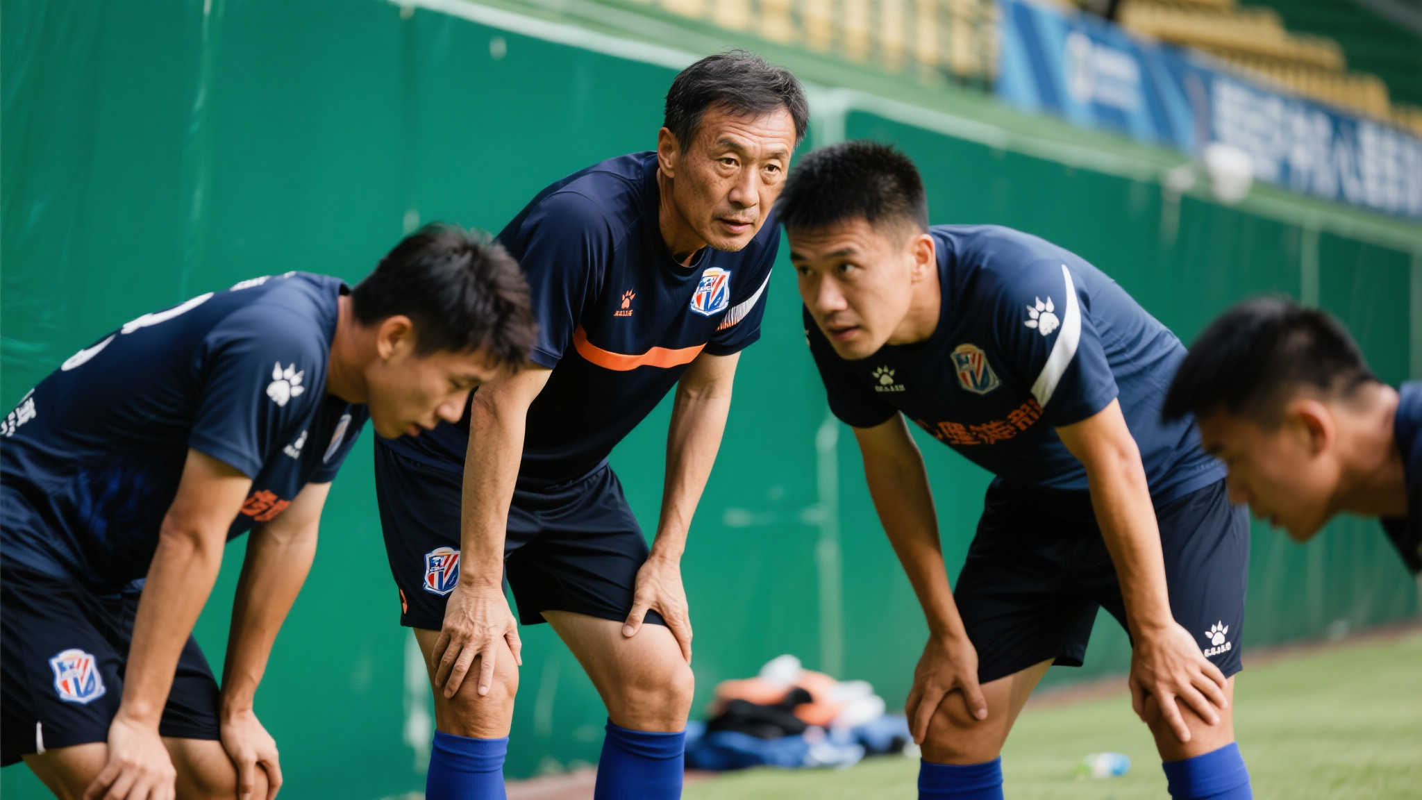 阿拉维斯能 阿拉维斯能