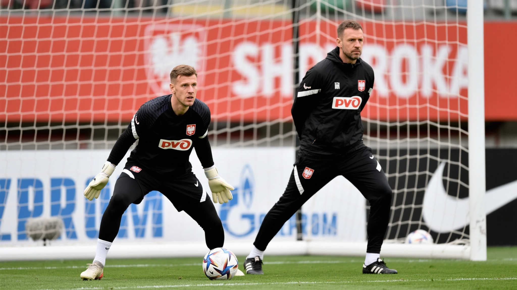 后续展望 后续展望